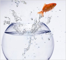 優(yōu)秀的網(wǎng)站建設(shè)團(tuán)隊(duì)1