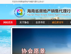 海南省房地產(chǎn)銷售代理行業(yè)協(xié)會(huì)